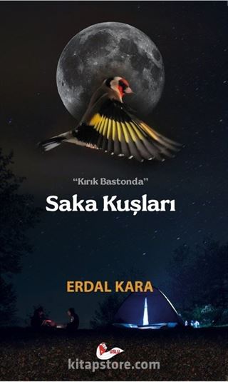 Kırık Bastonda Saka Kuşları