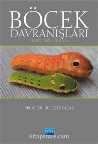 Böcek Davranışları