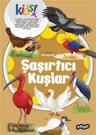 Şaşırtıcı Kuşlar / İlk Kütüphanem Serisi