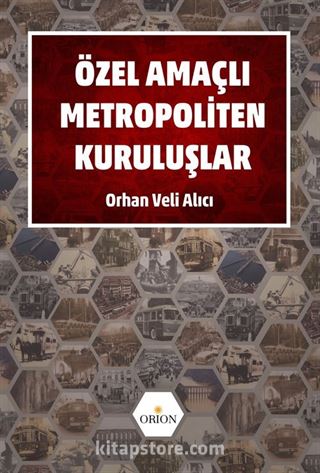 Özel Amaçlı Metropoliten Kuruluşlar