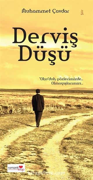 Derviş Düşü