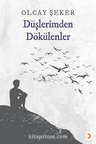 Düşlerimden Dökülenler