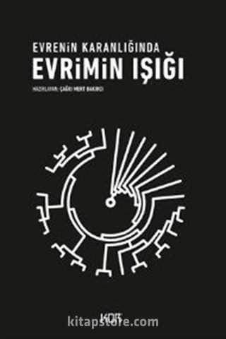 Evrenin Karanlığında Evrimin Işığı