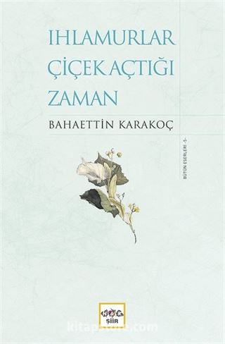 Ihlamurlar Çiçek Açtığı Zaman