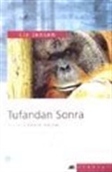 Tufandan Sonra