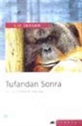 Tufandan Sonra