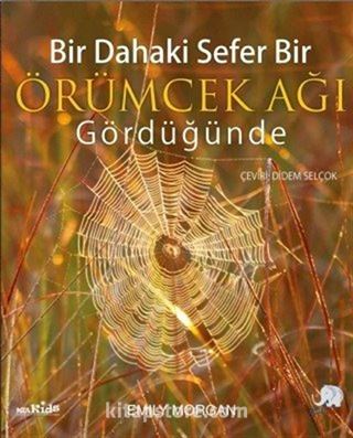 Bir Dahaki Sefer Örümcek Ağı Gördüğünde