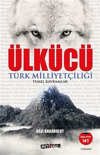 Ülkücü