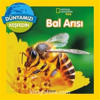 National Geographic Kids / Bal Arısı