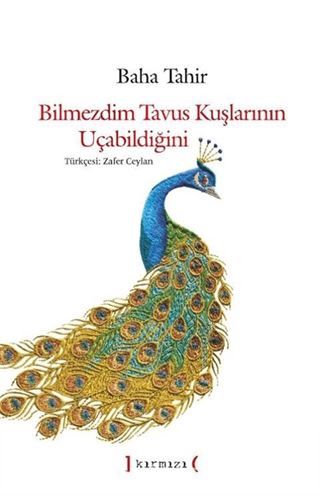 Bilmezdim Tavus Kuşlarının Uçabildiğini