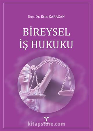 Bireysel İş Hukuku