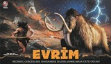 Evrim (Kutulu Oyun)