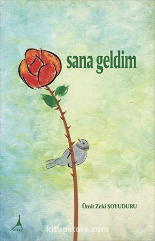 Sana Geldim