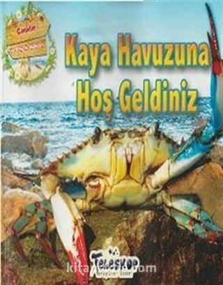 Kaya Havuzuna Hoş Geldiniz