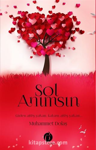 Sol Anımsın