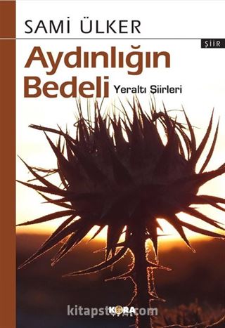 Aydınlığın Bedeli