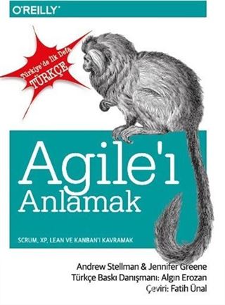 Agile'i Anlamak