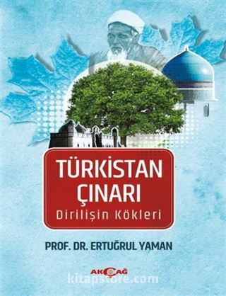 Türkistan Çınarı