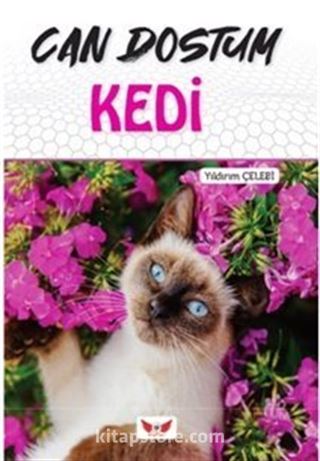 Can Dostum Kedi