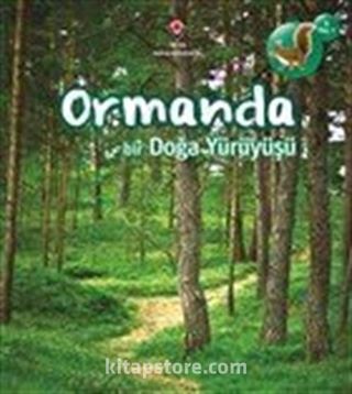 Ormanda Bir Doğa Yürüyüşü