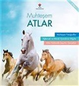 Muhteşem Atlar