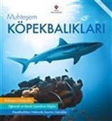 Muhteşem Köpekbalıkları