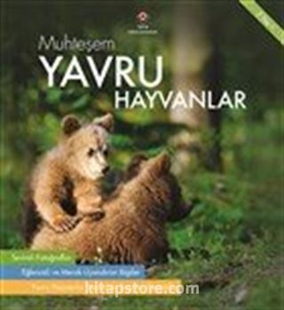 Muhteşem Yavru Hayvanlar