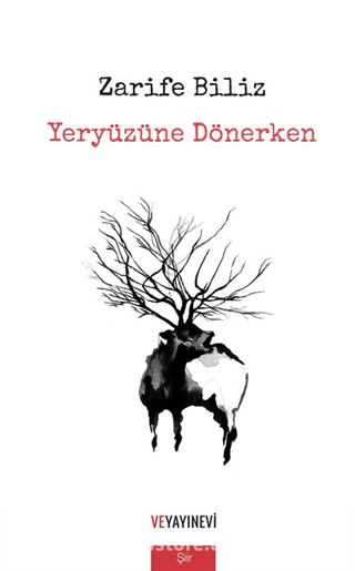 Yeryüzüne Dönerken