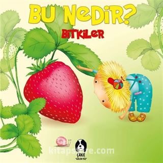 Bu Nedir? / Bitkiler