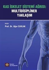 Multidisipliner Yaklaşım