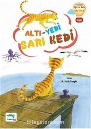 Altı Yedi Sarı Kedi