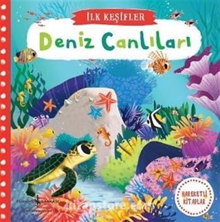 Hareketli Deniz Canlıları