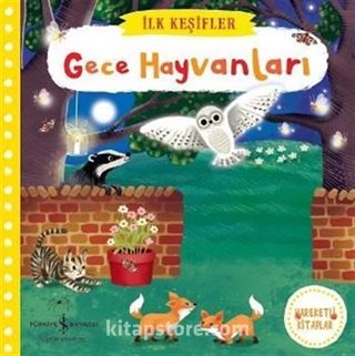 Hareketli Gece Hayvanları