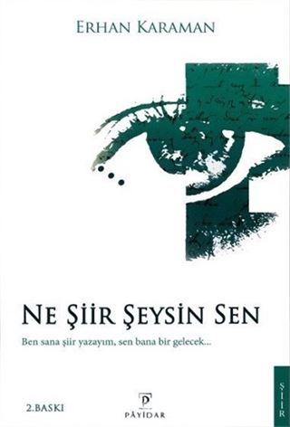 Ne Şiir Şeysin Sen