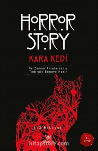 Kara Kedi / Horror Story 3. Kitap