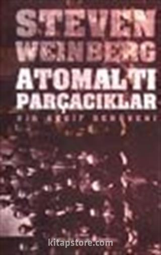 Atomaltı Parçacıkları (Ciltli)