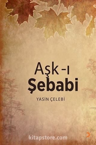 Aşk-ı Şebabi