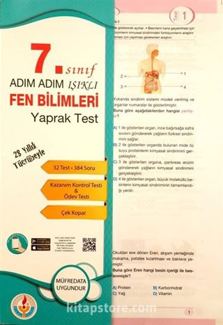 7. Sınıf Adım Adım Işıklı Fen Bilimleri Yaprak Test