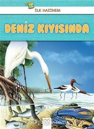 İlk Hazinem - Deniz Kıyısında