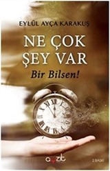 Ne Çok Şey Var Bir Bilsen