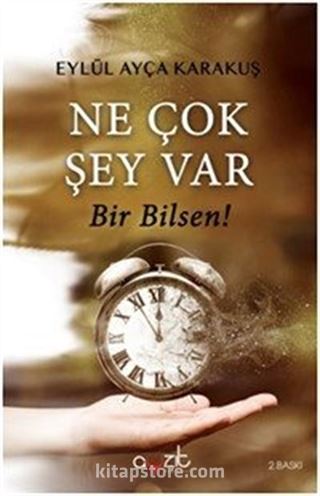 Ne Çok Şey Var Bir Bilsen