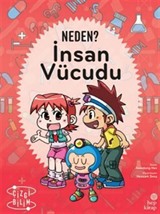 Neden? İnsan Vücudu