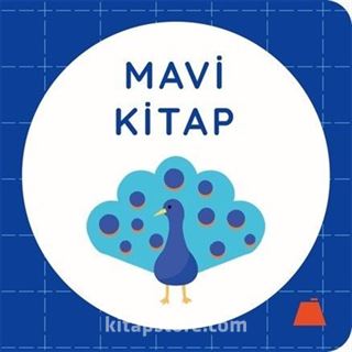 Mavi Kitap