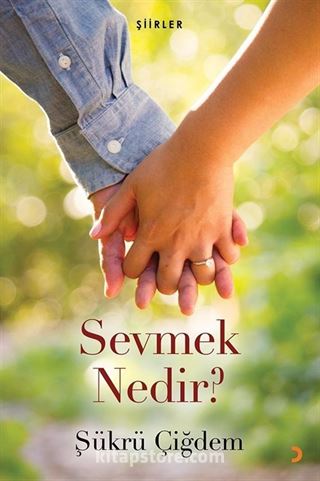 Sevmek Nedir?