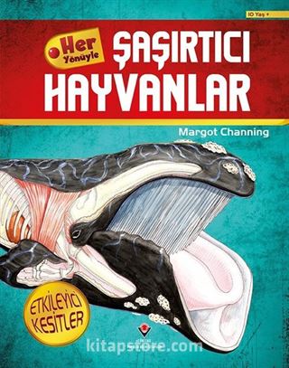 Her Yönüyle Şaşırtıcı Hayvanlar