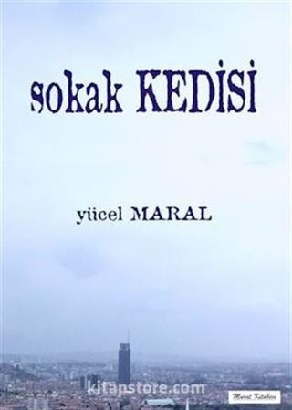 Sokak Kedisi