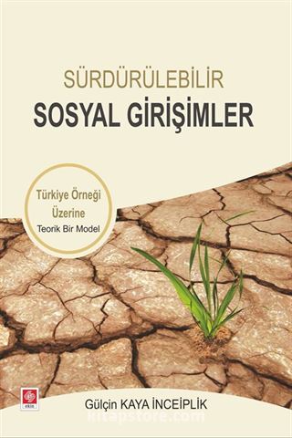 Sürdürülebilir Sosyal Girişimler