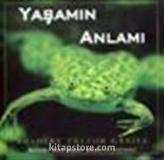 Yaşamın Anlamı