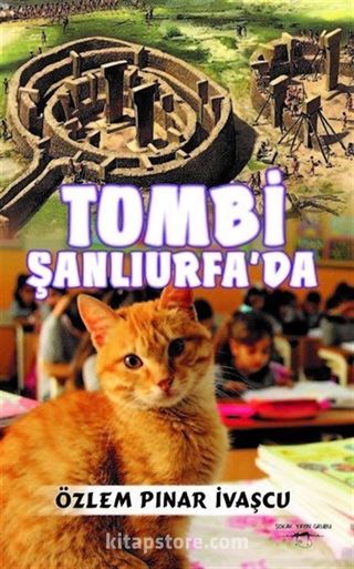 Tombi Şanlıurfa'da