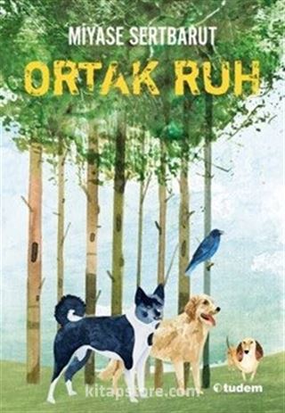 Sisin Sakladıkları- 2 Ortak Ruh